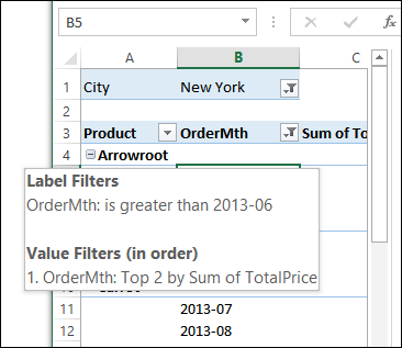 Apply Multiple Filters On A Pivot Field Excel Pivot Tables